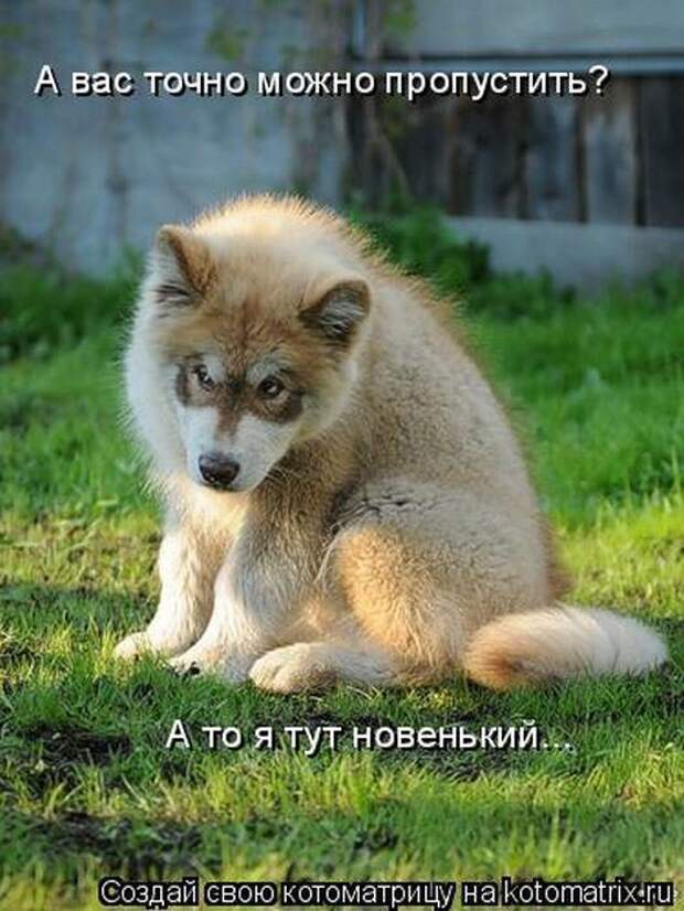 Мысли вслух :)