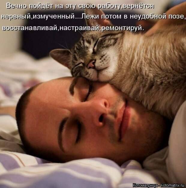 Лучшие котоматрицы недели (50 фото)