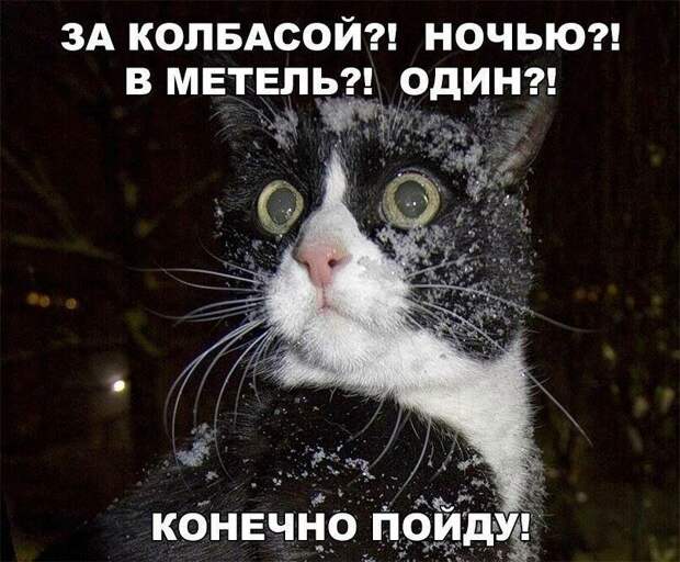 Шутки о жизни. Много позитива