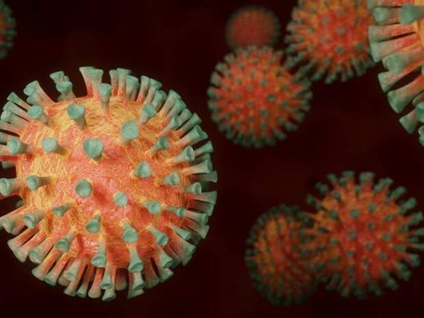 Ученые обнаружили: коронавирус «программирует» иммунную систему человека