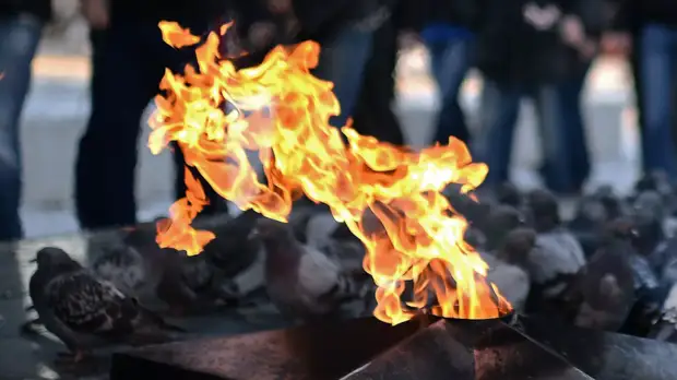 Историк назвал письмо немецкого писателя в рамках проекта #ПочтаПобеды символичным