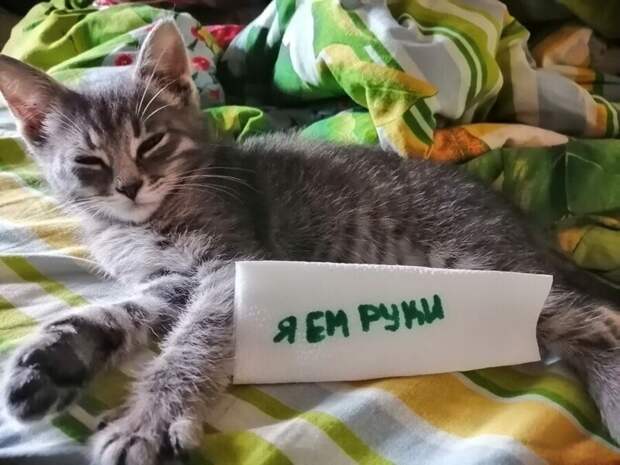 1. Такой маленький, а уже злодей