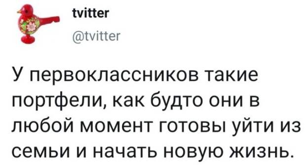 Подборка картинок. Дневной выпуск (20 фото)