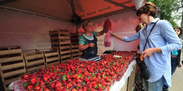Клубнику лучше покупать летом, когда она вкусная и недорогая. / Фото: progomel.by Клубнику лучше покупать летом, когда она вкусная и недорогая. / Фото: progomel.by