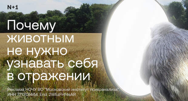 Борьба за лидерство вне Земли: как спутники отслеживают выбросы, океаны и ветры