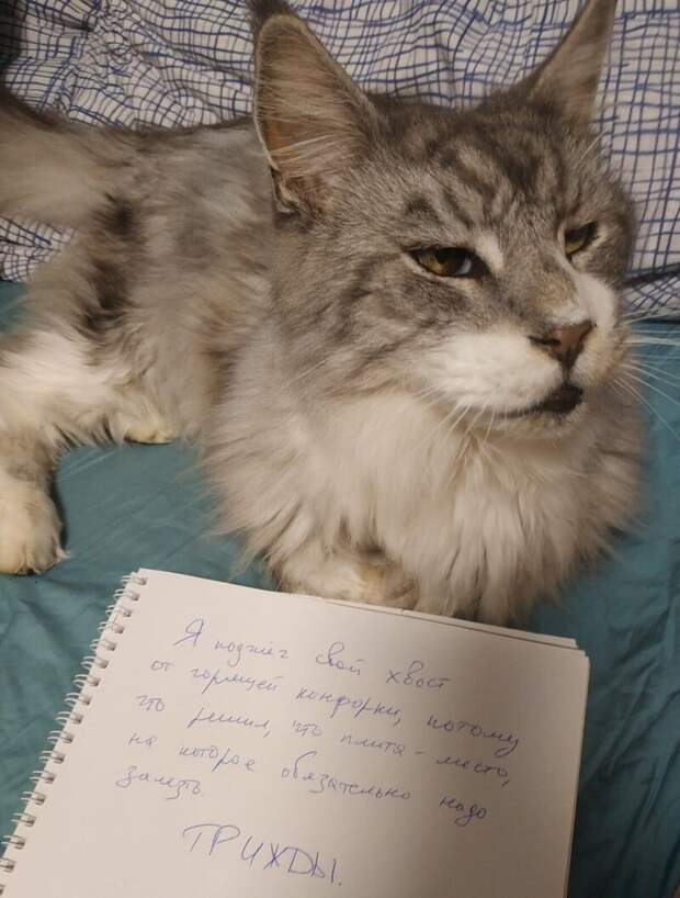 10. Опасный рецедивист
