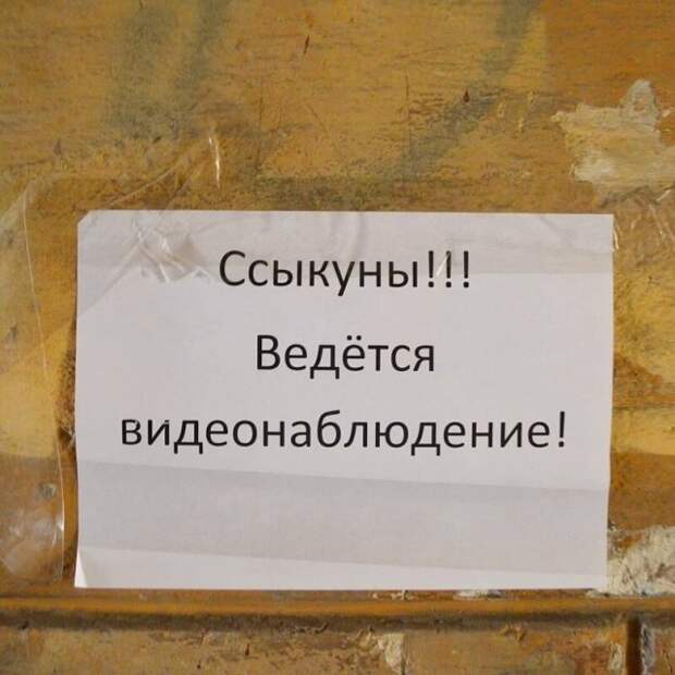 www.vsyako.net