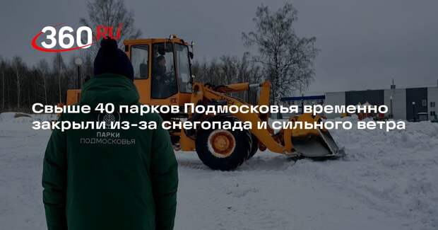 Свыше 40 парков Подмосковья временно закрыли из-за снегопада и сильного ветра