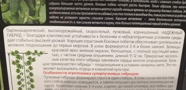 И снова об огурцах. 5 приёмов для отличного урожая.