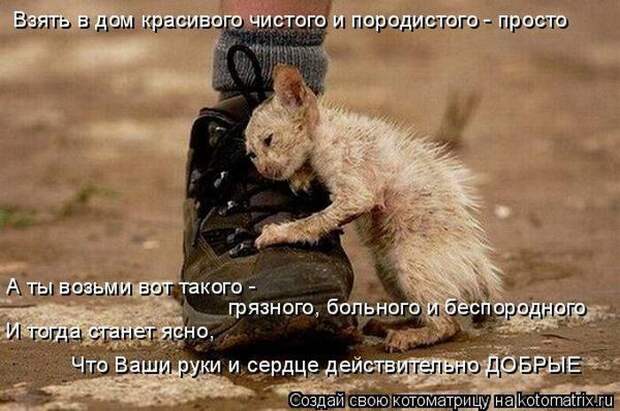 Мысли вслух :)
