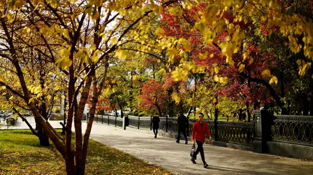 Врач Романенко напомнила о нестабильной погоде в период бабьего лета