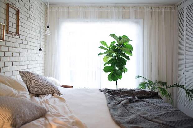 Комнатные растения добавляют спальне уюта. / Фото: Dekormyhome.ru