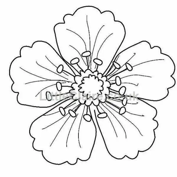 Сам себе кутюрье. Создаём шедевры с помощью аппликации