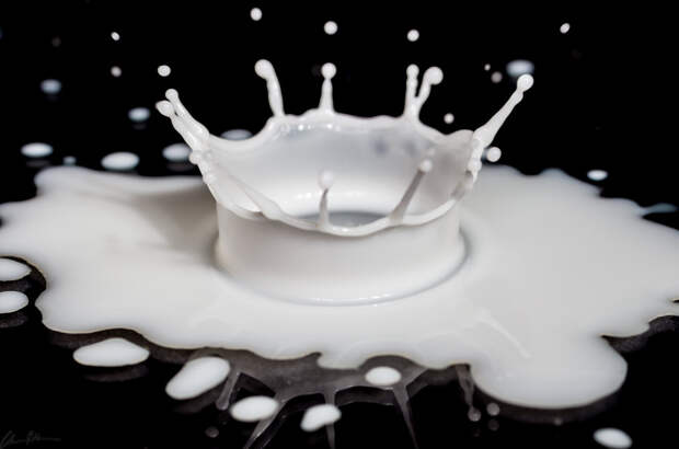 Почти половина «молочки» в российских магазинах оказалась просроченной