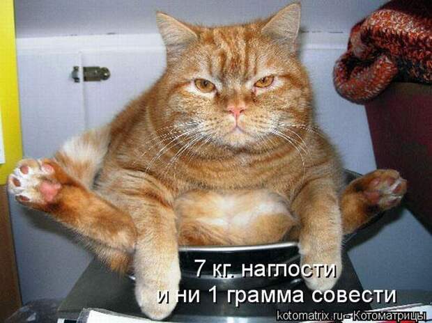 Мысли вслух :)