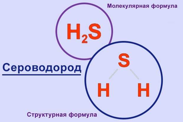 Почему не стоит лезть в очко Трагедия, человеческая глупость, сельская тупорылость