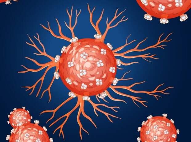 Флуоресцентное доказательство передачи протеасом между опухолевыми клетками