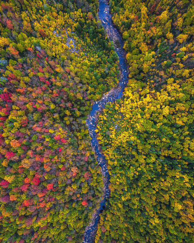 West Virginia