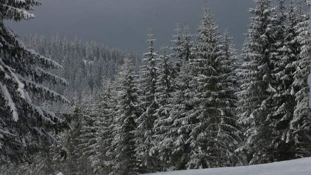 Блэкаут произошел на украинском горнолыжном курорте Буковель