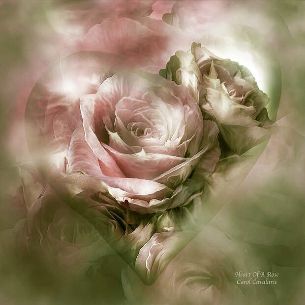 Heart Of A Rose - Antique Pink (700x700, 397Kb)