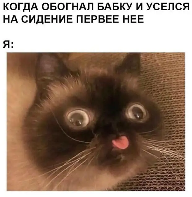 Вежливость – это не только послать, но и проводить Вежливость – это не только послать, но и проводить обезьян, автобус, будет, чтобы, зовут, бизнесмен, Hастроение, ничего, денег, парень, когда, работает, Аркадий, последних, слово, троллейбус, перед, Обезьян, Hормальное, Попрыгай