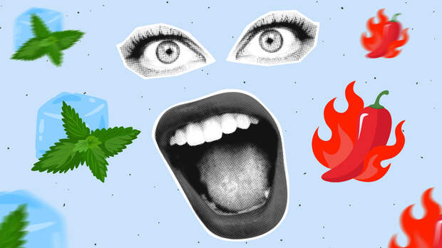Почему от острого горячо, а от мятного холодно
