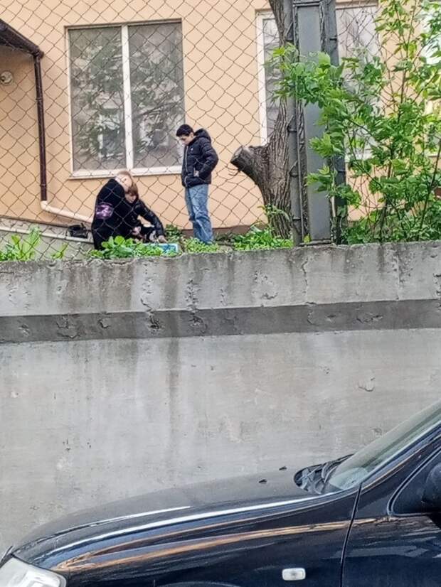 Украли знак и ломают его.