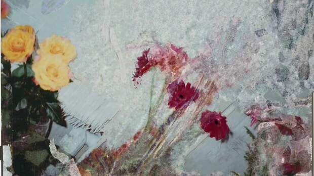 «Нам оставила память жёлтые розы»: о работе Полины Шилкините в личной коллекции