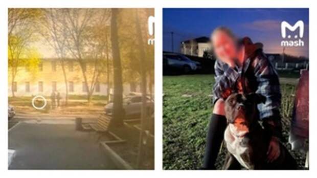 Собака с хозяйкой на прогулке / Фото: Mash