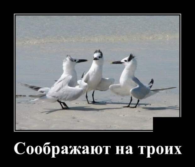 www.vsyako.net