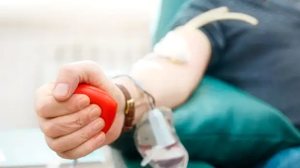 Диетолог Евдокимова рассказала о правильном рационе для доноров крови