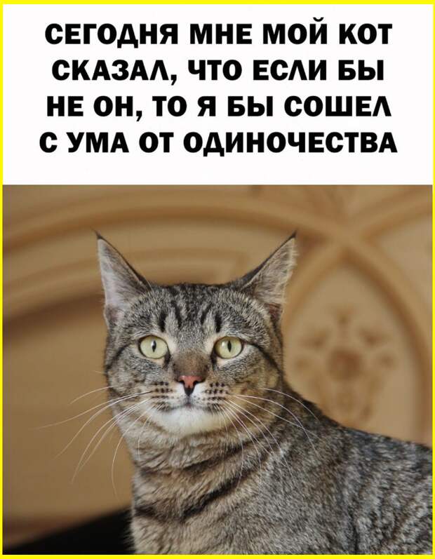 Юмор на сон грядущий