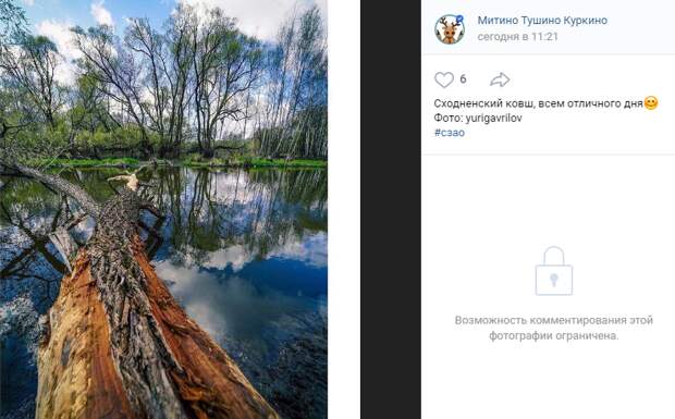 Фото дня: живописные берега реки Сходни
