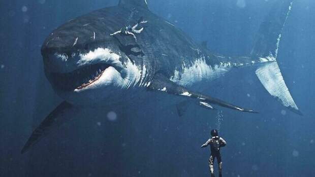 30 фотодоказательств того, какой суровой была природа миллионы лет назад