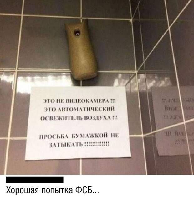 Подборка картинок. Дневной выпуск (20 фото)