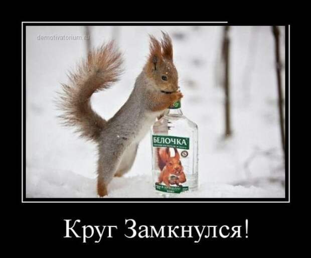 То ли смех, то ли слёзы приколы, смех, юмор