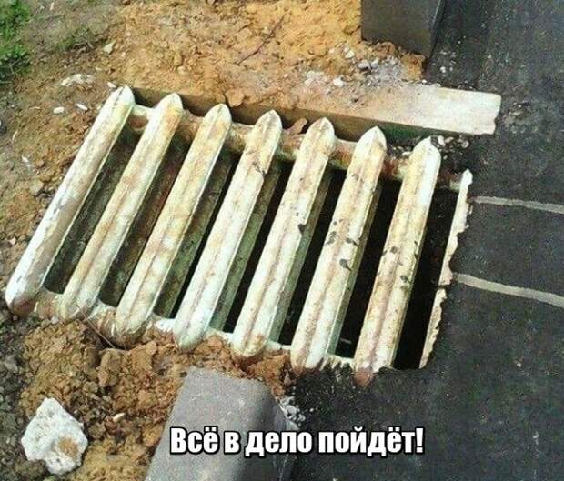 Подборка картинок. Дневной выпуск (20 фото)
