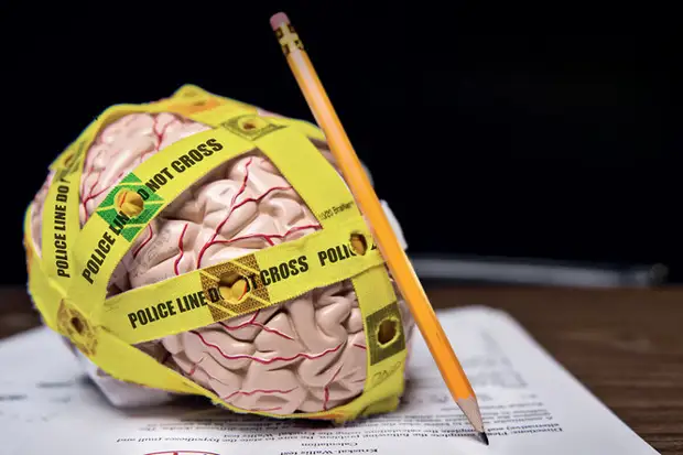 Как устроен мозг людей с маниакальными расстройствами психики: почему они отличаются от нас?