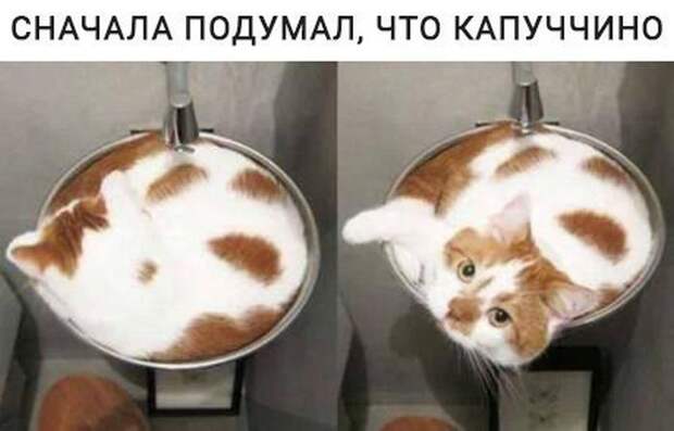 Паранормальных пикч