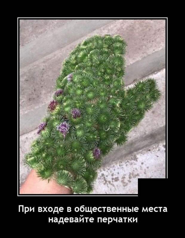 Демотиватор про перчатки