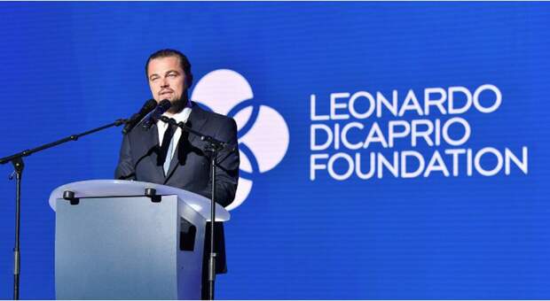 Леонардо Ди Каприо передал $100,000,000 защитникам природы