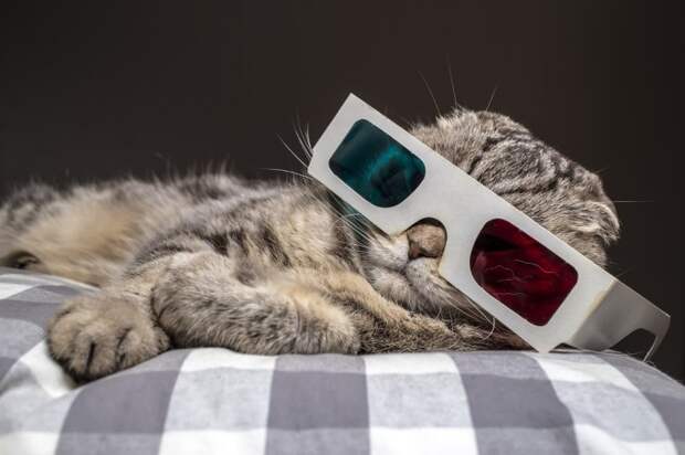 Эффектность зашкаливает, но головной мозг страдает. /Фото: pawsometalk.com