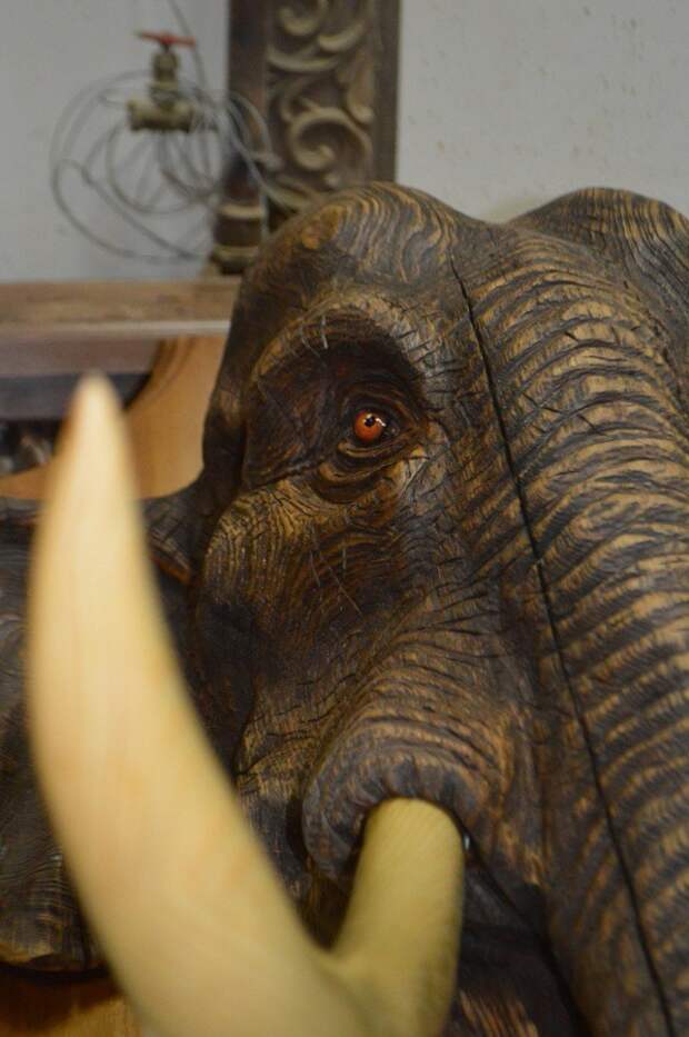 Слон. Сделано бензопилой Александр Ивченко, бензопила, скульптура бензопилой, слон бензопилой, слон из дуба