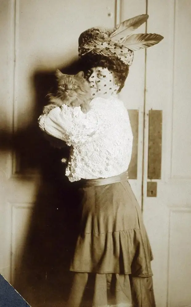 :   ,  ,        19 - BigPicture.ru