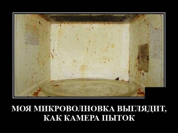 Демотиватор про микроволновку