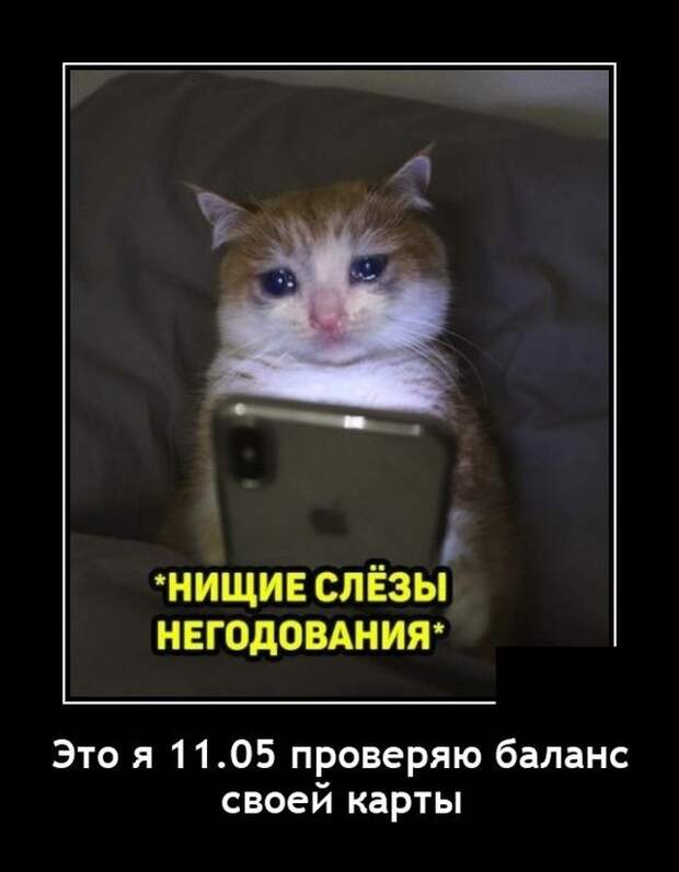 Демотиваторы 10 мая 2021