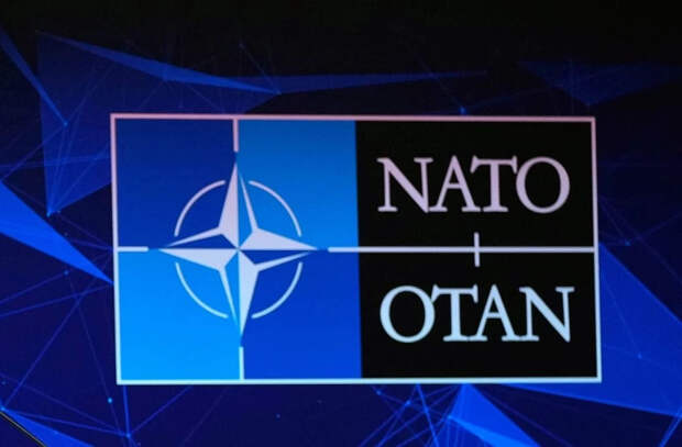 Президент Финляндии позвонил Путину, чтобы сообщить о намерении вступить в НАТО