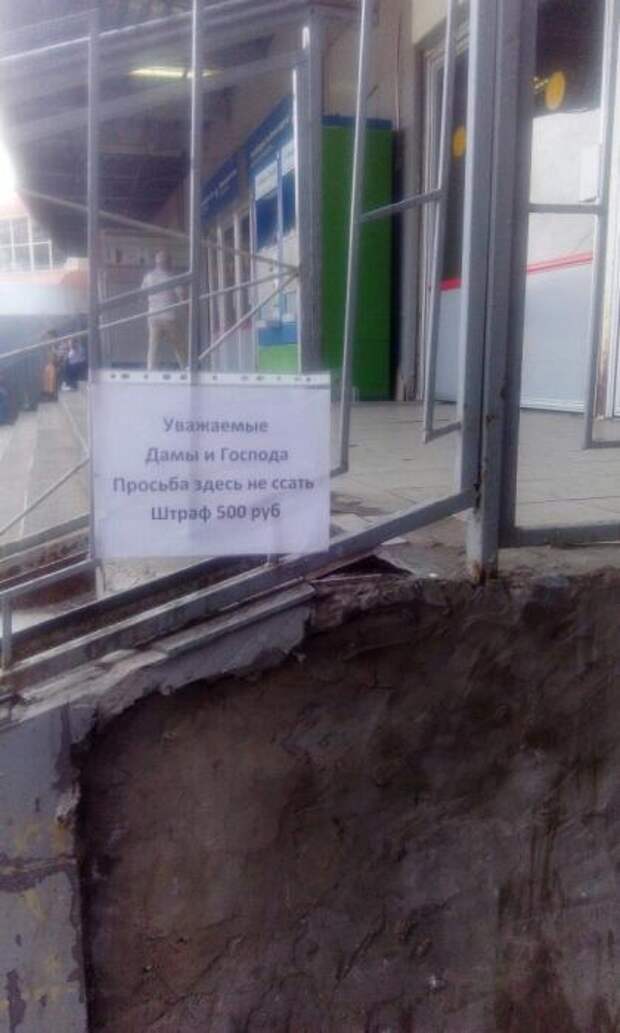 Картинки, юмор, приколы