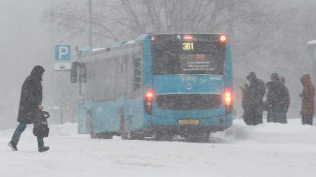Снег стеной: московский регион накрыли рекордные осадки