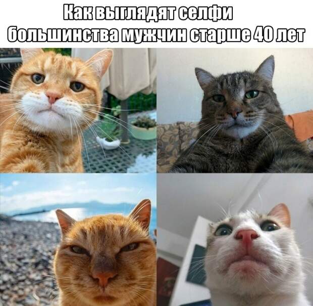 www.vsyako.net